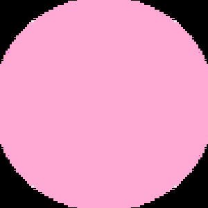 Meet your Posher, Maia